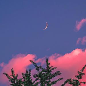 美女老师来我家吃鸡吧在线观看
