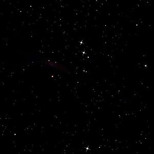 美女老师来我家吃鸡吧在线观看
